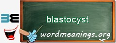 WordMeaning blackboard for blastocyst